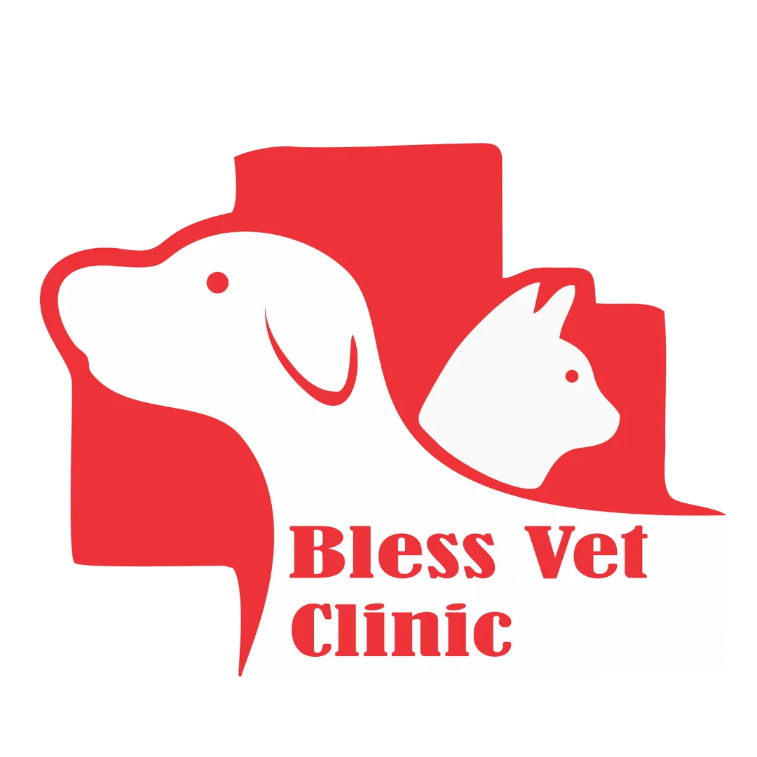Bless Vet Clinic