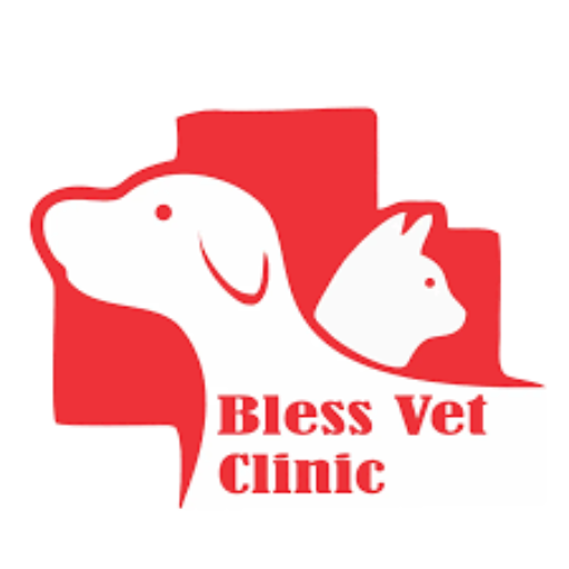 Cek Katalog Bless Vet
