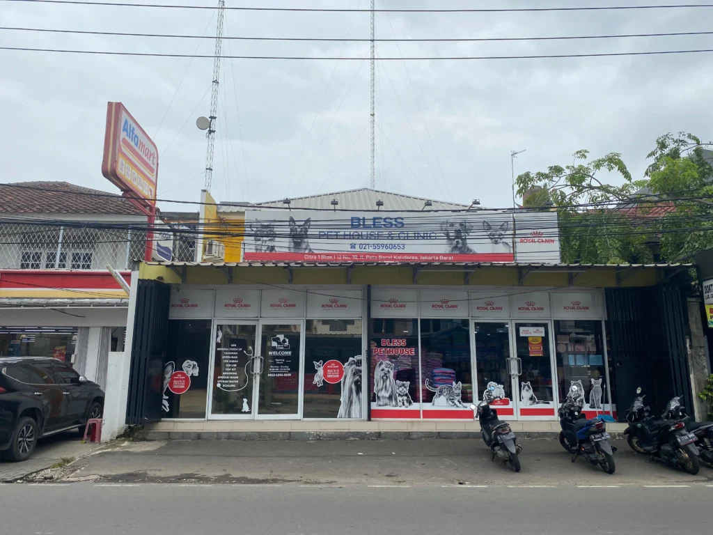 tampakdepan