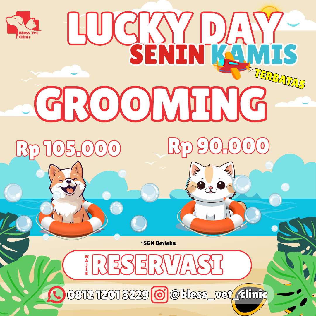 Kenapa Grooming Anabul Itu Wajib?