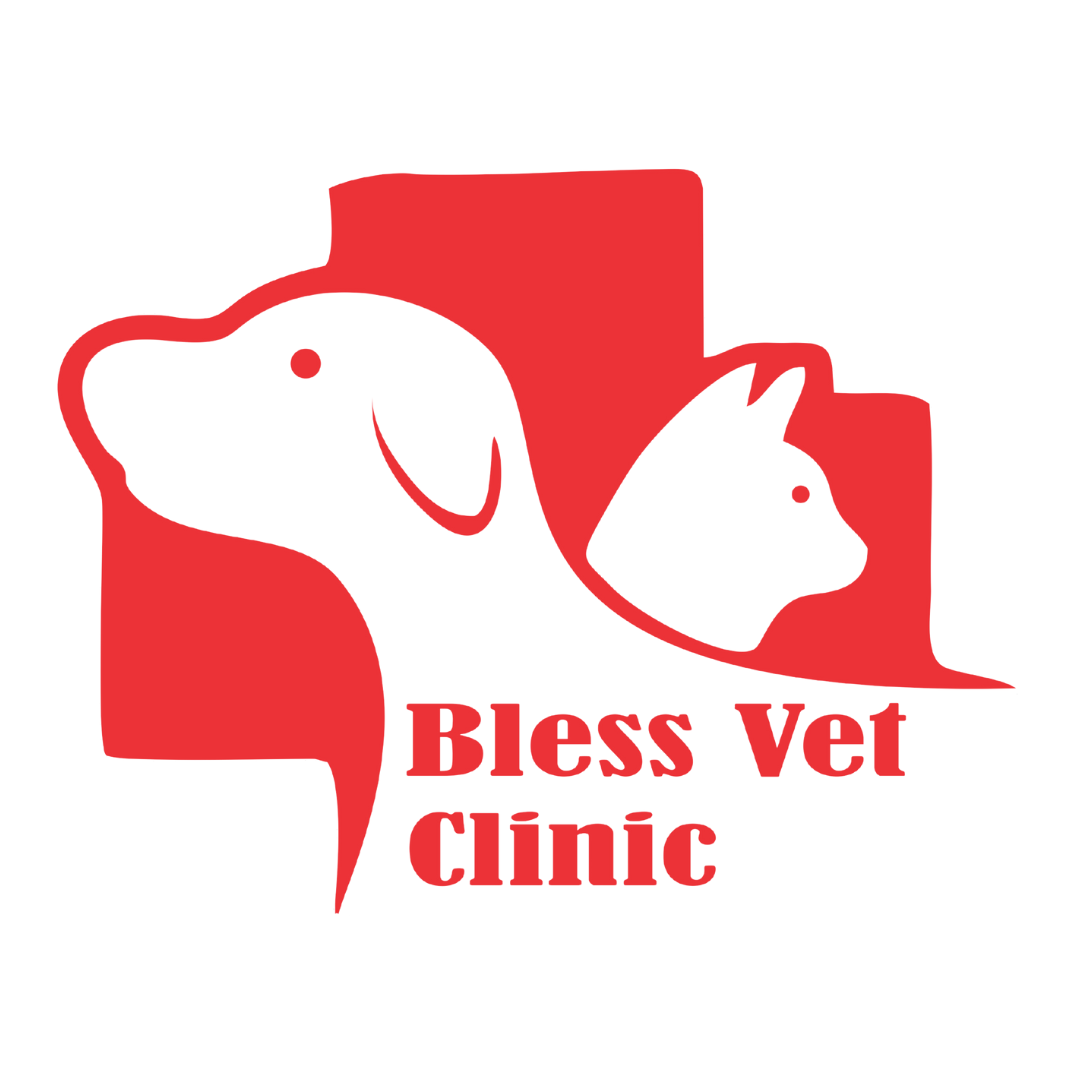 Bless Vet Clinic